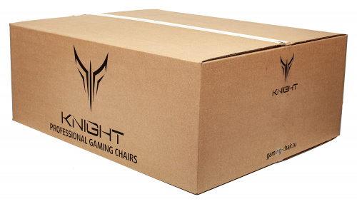 Кресло игровое Knight Neon черный/серебряный соты эко.кожа с подголов. крестов. металл фото 26