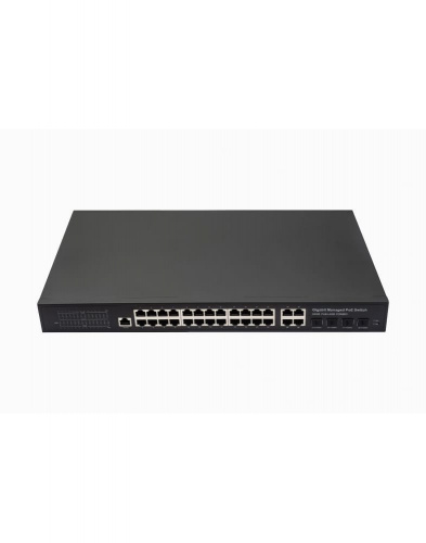 NST NS-SW-24G4G-PL Сетевое оборудование фото 2