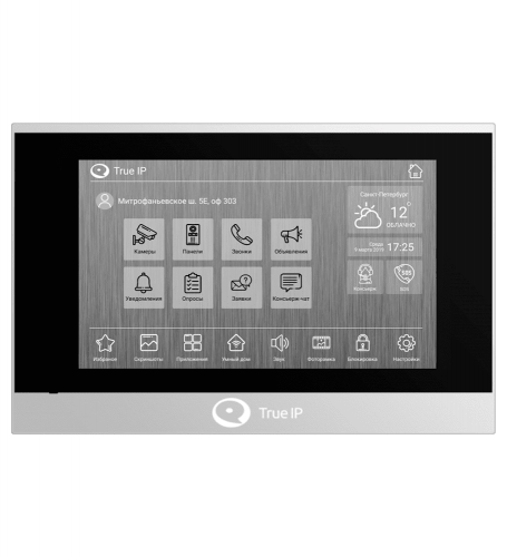 True IP TI-4107A СКУД фото 2